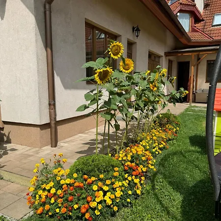 Lutra Montana * Relów
