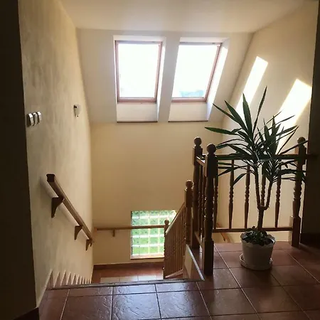 Lutra Montana Relów